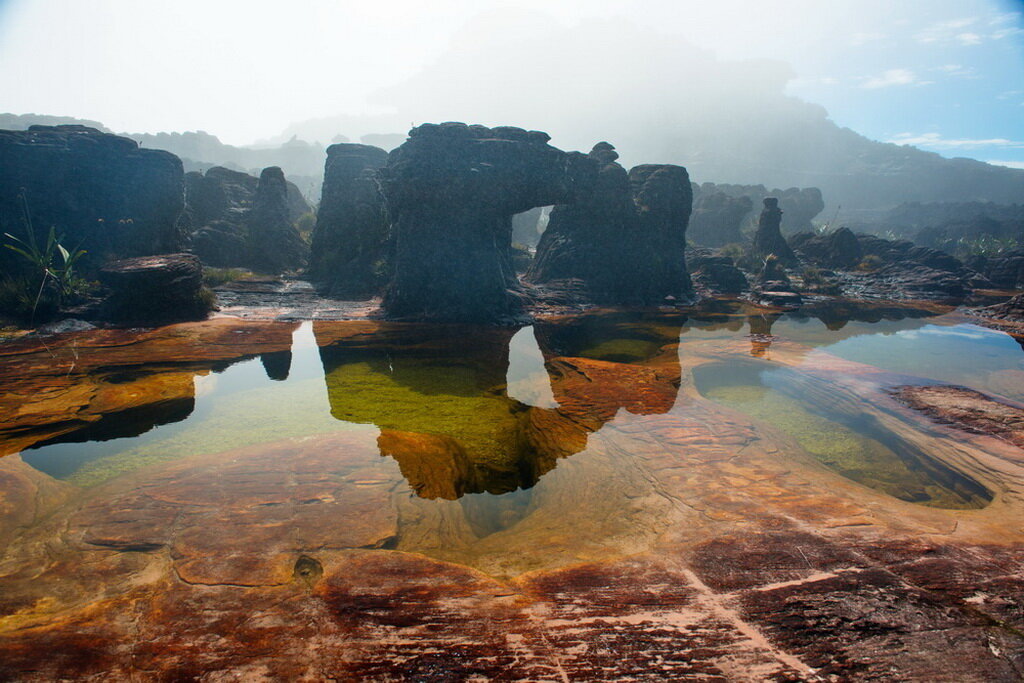 Плато горы Рорайма. Фото взято из открытых источников.