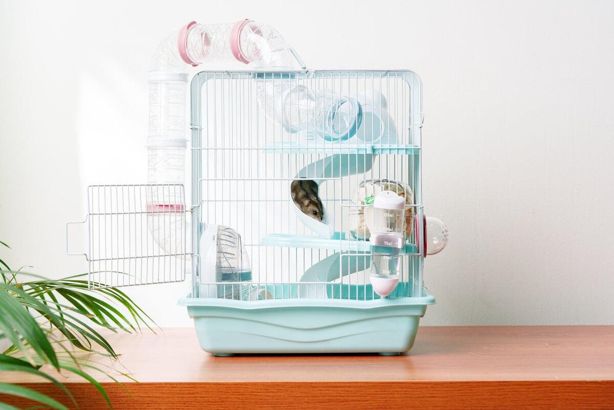    Чем больше игровых элементов в домике – тем веселее и насыщенней будет жизнь хомяка.Shutterstock