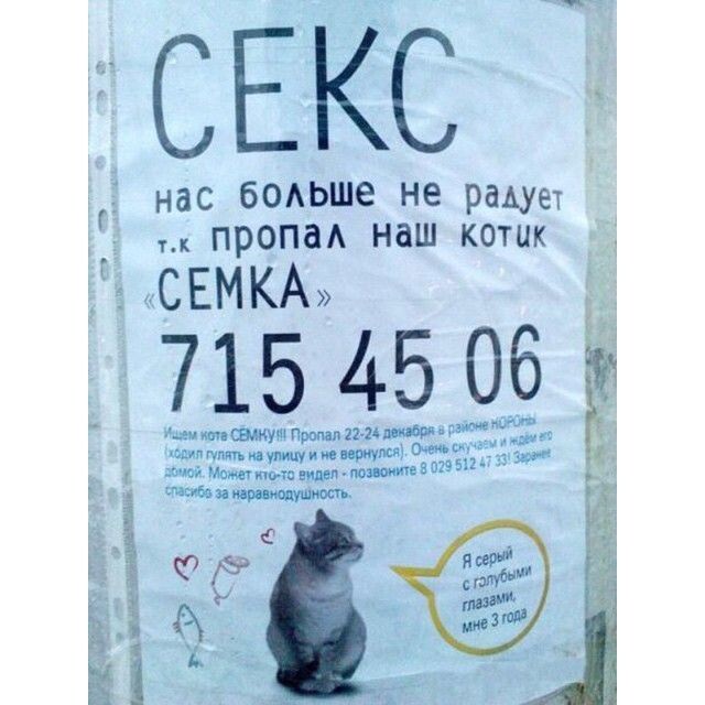 источник Яндекс-картинки