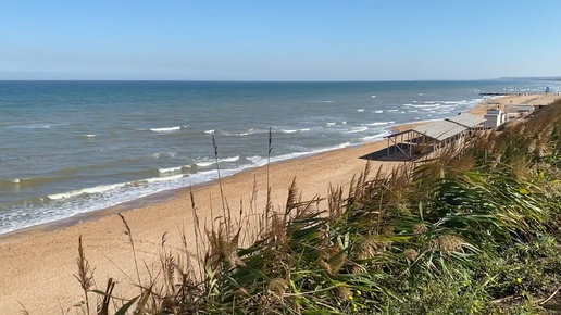 Влог🏡 Прогулка по моему двору, саду, к морю🌊