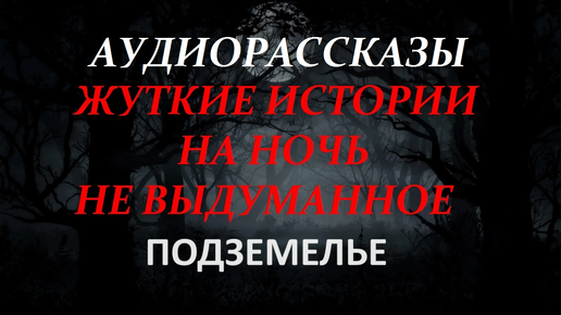 СТРАШНЫЕ РАССКАЗЫ НА НОЧЬ-ПОДЗЕМЕЛЬЕ