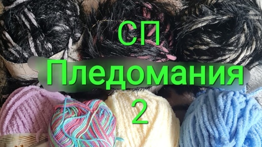 Сп Пледомания2 3очёт #пледомания2