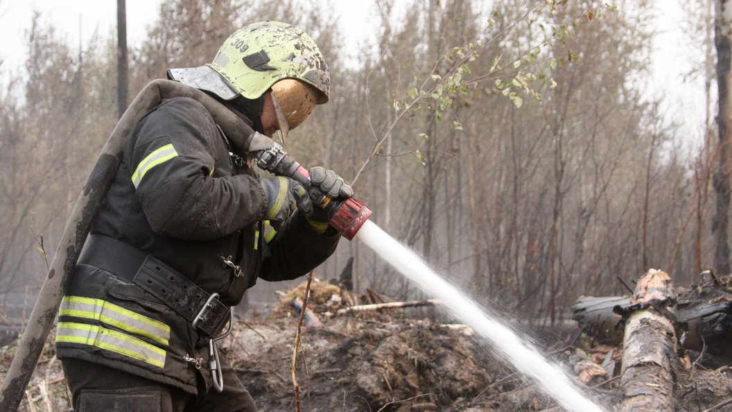    Фото: Денис Бочаров/news.ru