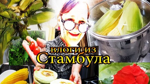 Варю кукурузу вкусная дынька огород стамбульский @tatyanaobukhova #влог Турция