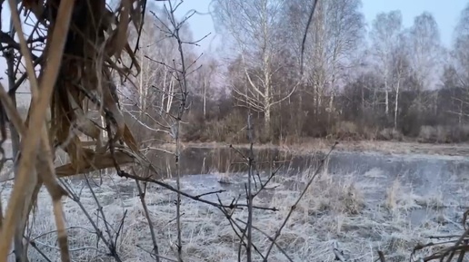 ВЕСЕННЯЯ ОХОТА НА СЕЛЕЗНЯ, ШИКАРНАЯ ЗОРЬКА, НАСЛУШАЛСЯ УТОК, ВЗЯЛ НОРМУ ПО СЕЛЕЗНЯМ!