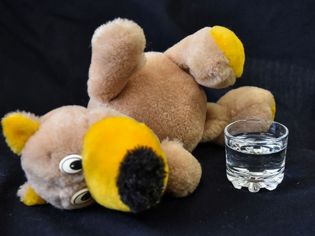 Фото ИА "Регион 71"