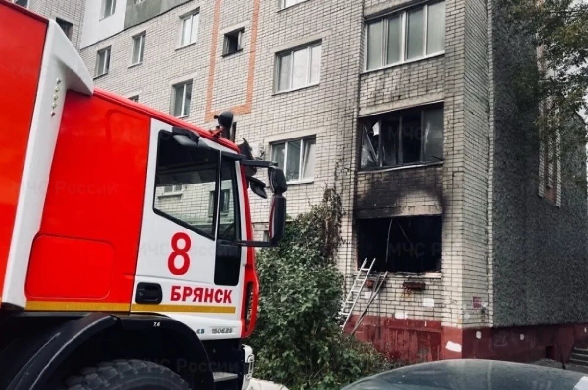    19 техногенных и 14 природных пожаров потушили за выходные на Брянщине