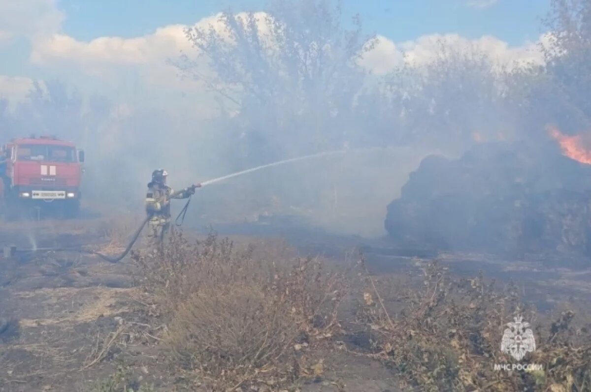    Кто виноват в пожарах?