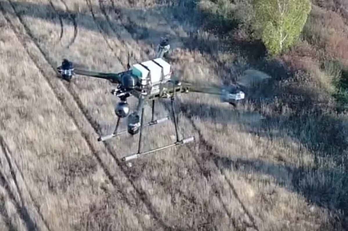    Российский БПЛА «Бердыш».