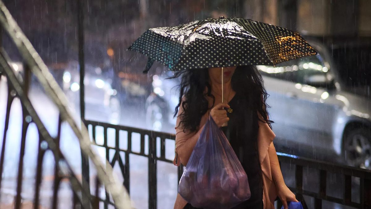 © photo: Sputnik / Stringer