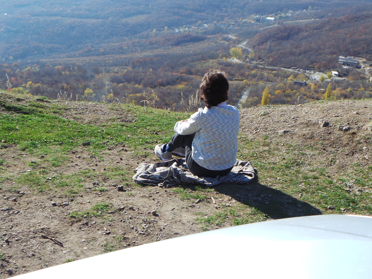 Процесс ревизии реакци