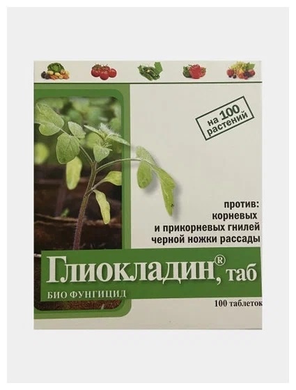    Упаковка таблеток «Глиокладин»market.yandex.ru