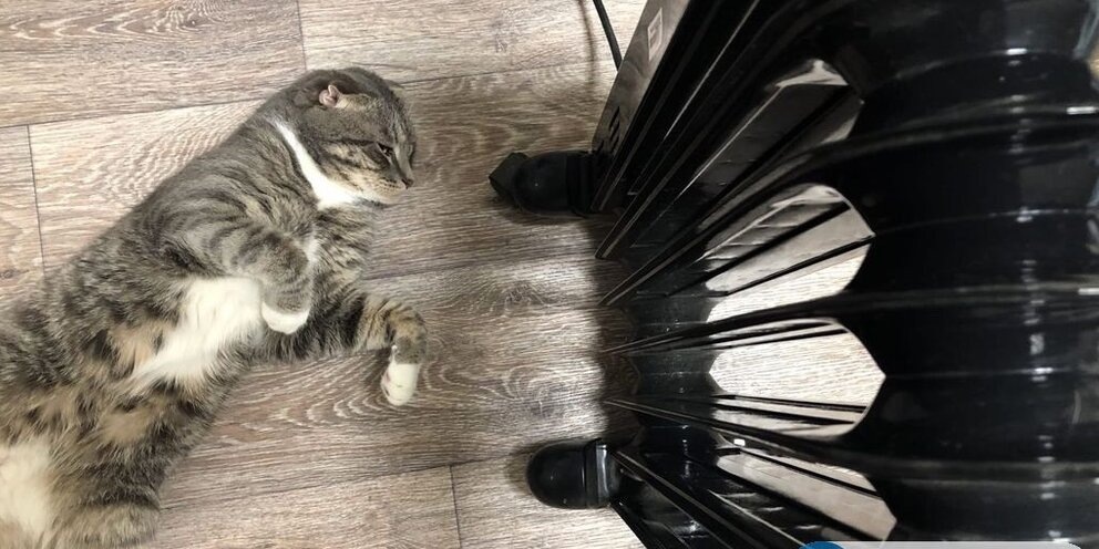    13 районов Оренбургской области приступили к пробным топкам. Где уже начался отопительный сезон?