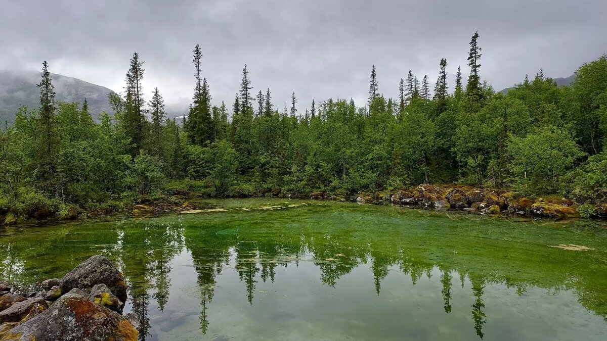     Источник: 1MI