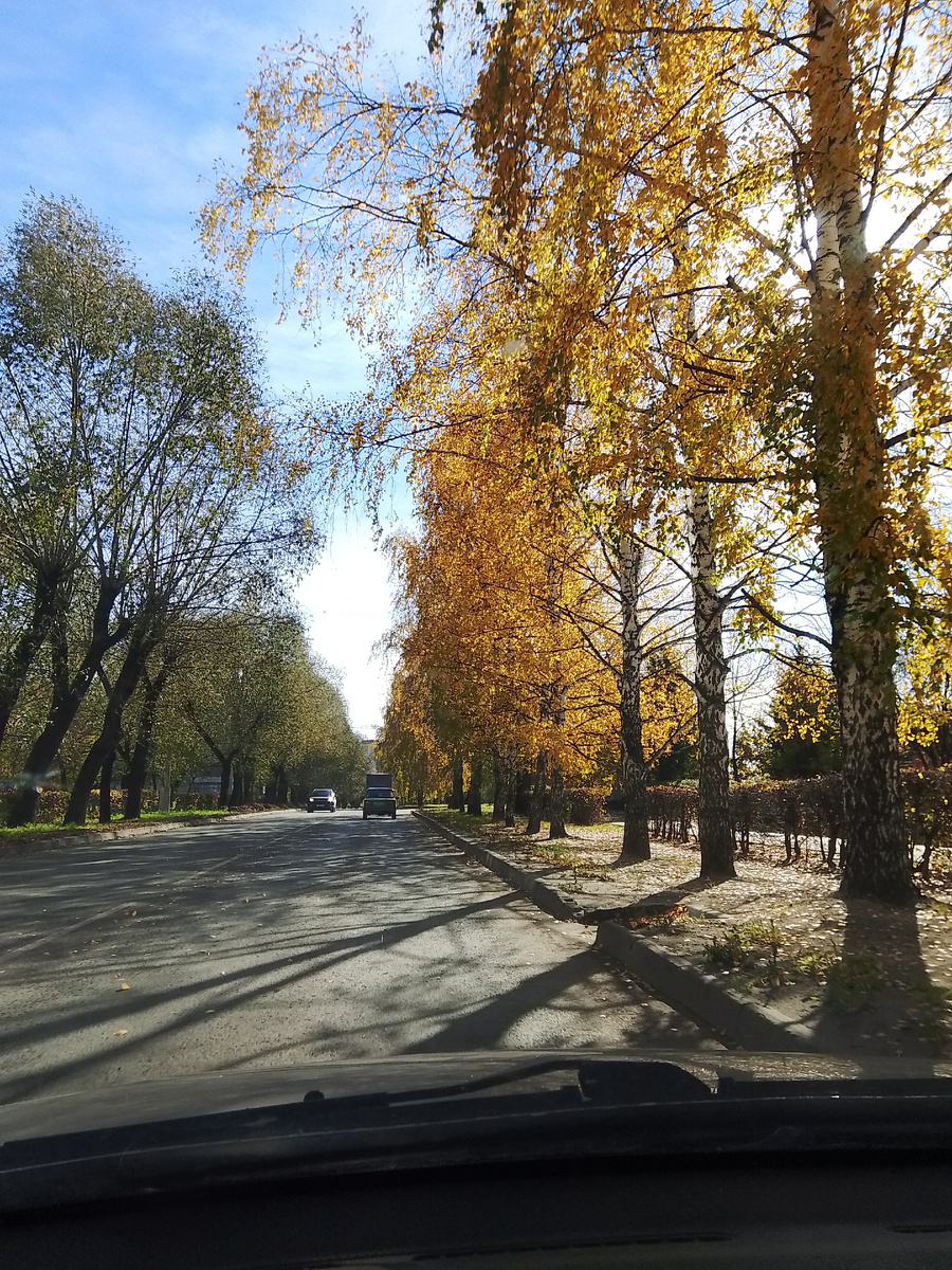 Осень золотая