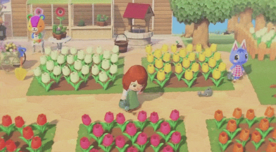   Animal Crossing: New Horizons × Nintendo Switch Lite / Nintendo