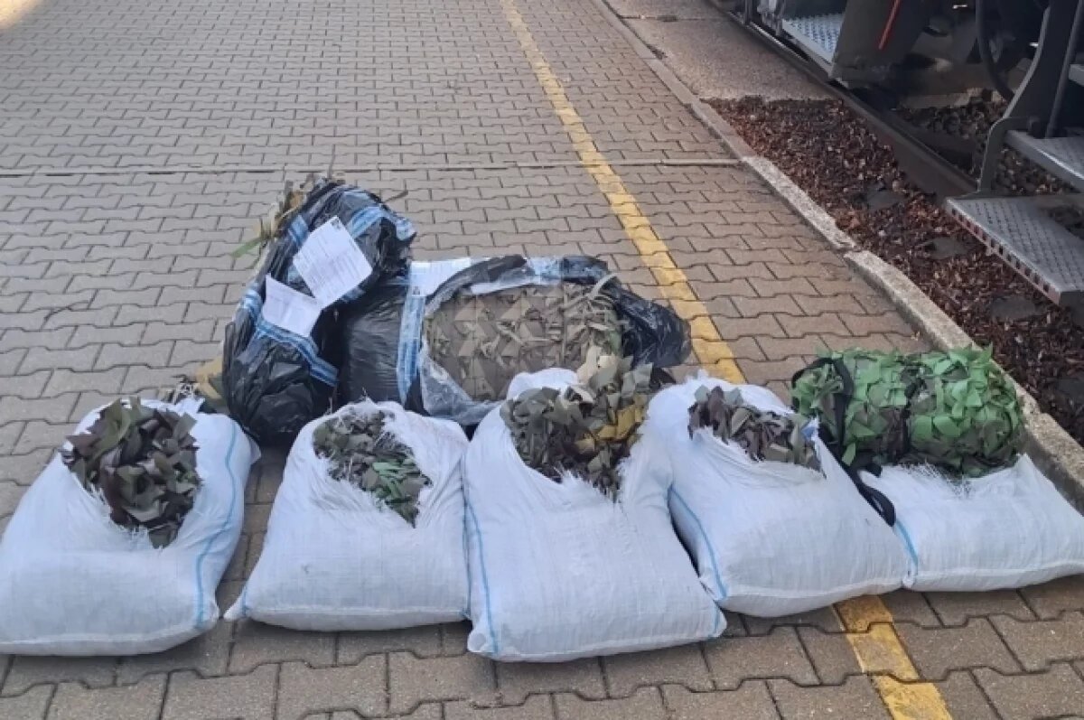    Таможня Литвы изъяла посылки с маскировочными сетками для передачи Киеву