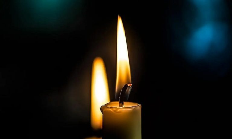    Фото: Pixabay Анастасия Волова