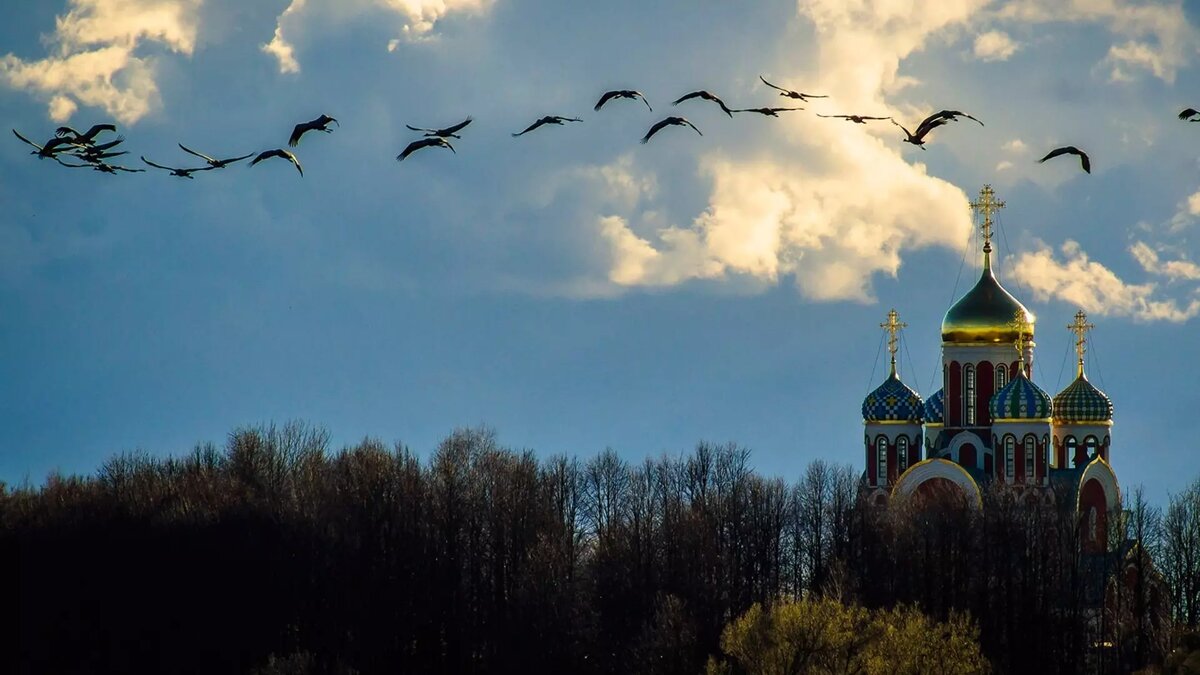 30 сентября вспоминали святых Ирину и Софию Египетских, собирали шиповник и прощались с журавлями. Источник: pofoto.club