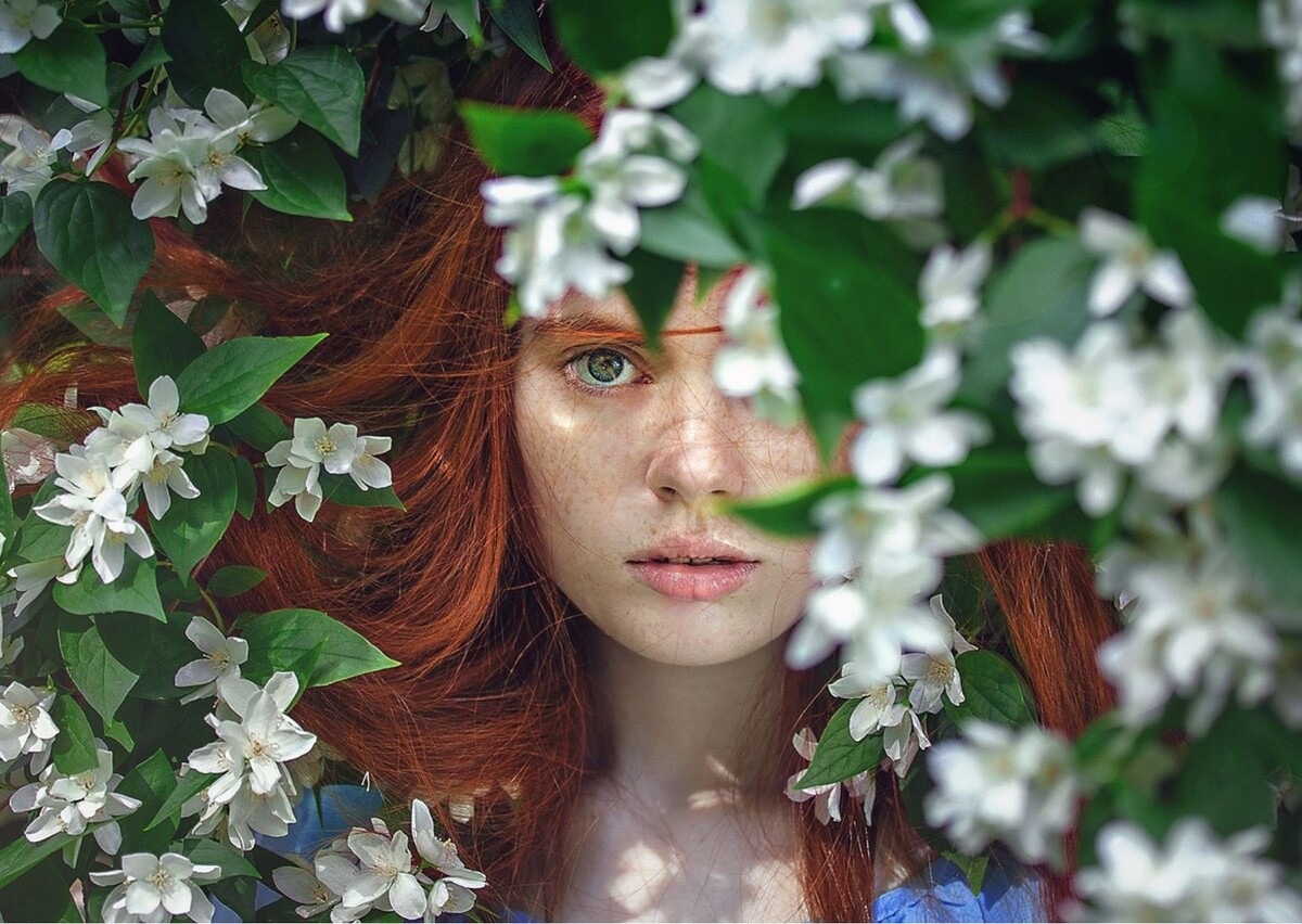 Источник изображения: pixabay.com, фото NickyPe