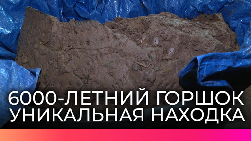 Новгородские археологи нашли керамический сосуд эпохи неолита