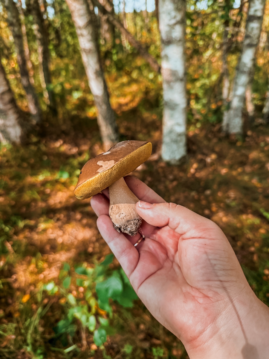 Фото автора.