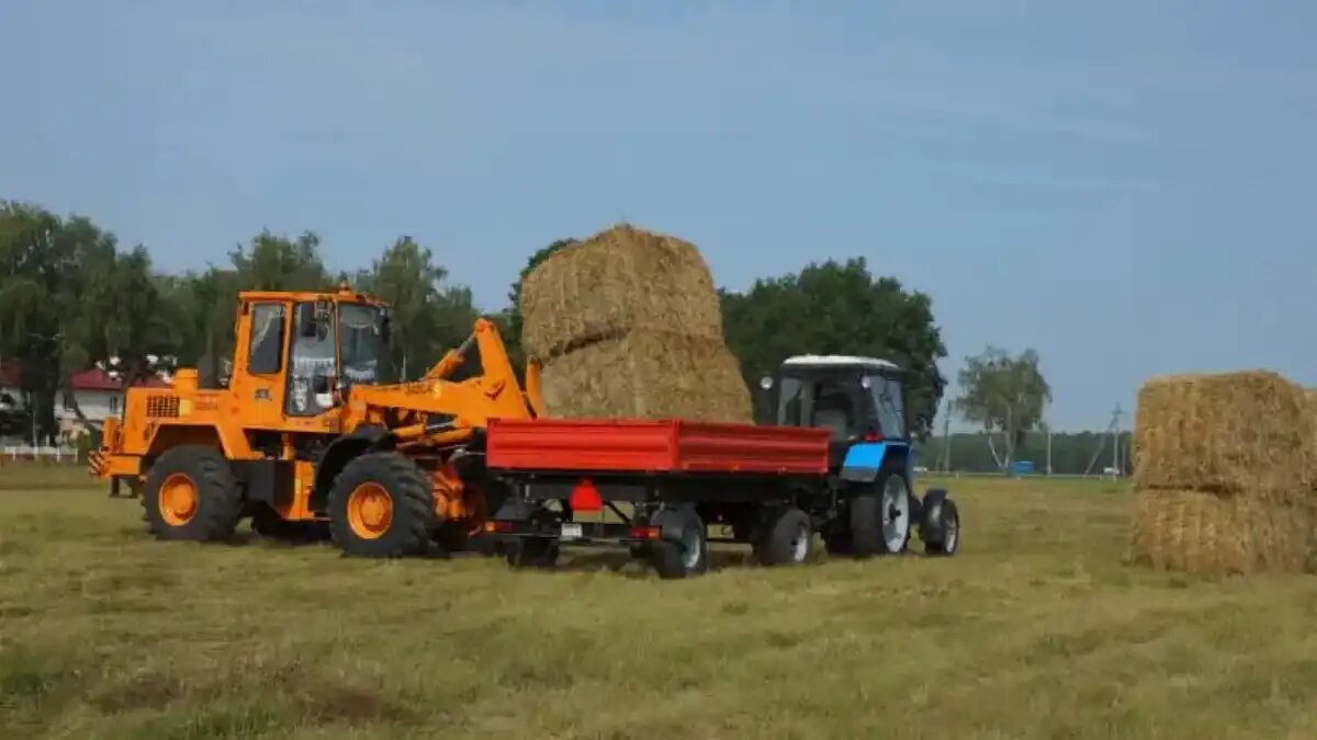 Фото: Светлана КИСЛАЯ / vb.by / «Вечерний Брест» Под Брестом состоялся конкурс «Виртуозы полей»