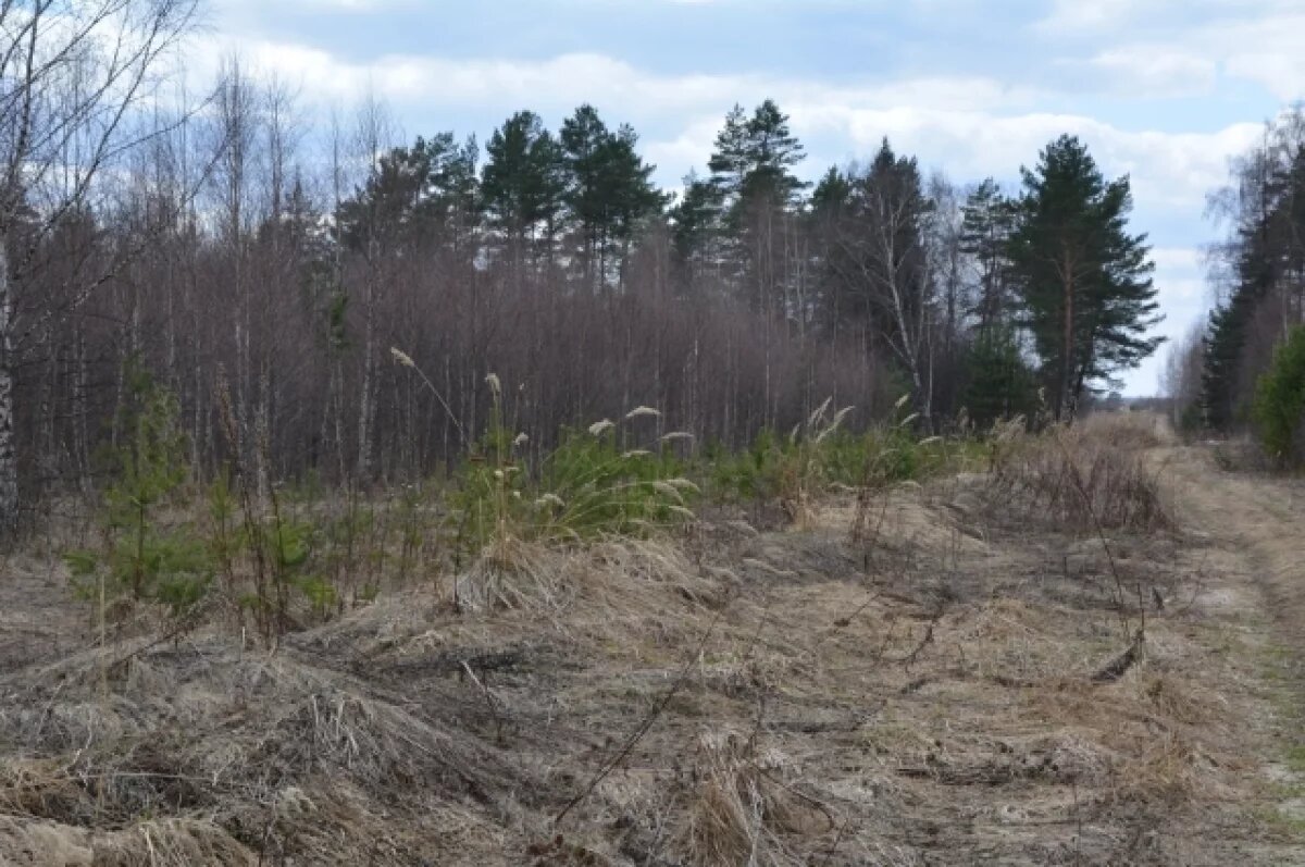    Под Тверью проведут культуртехническую мелиорацию 34 гав заросших земель