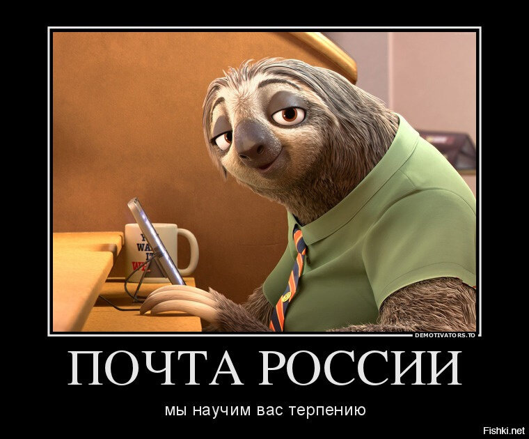 Источник: https://avatars.dzeninfra.ru/get-zen_doc/271828/pub_654eaf07dab449185485d90f_654eb0003a2cd66a5912c88b/scale_2400