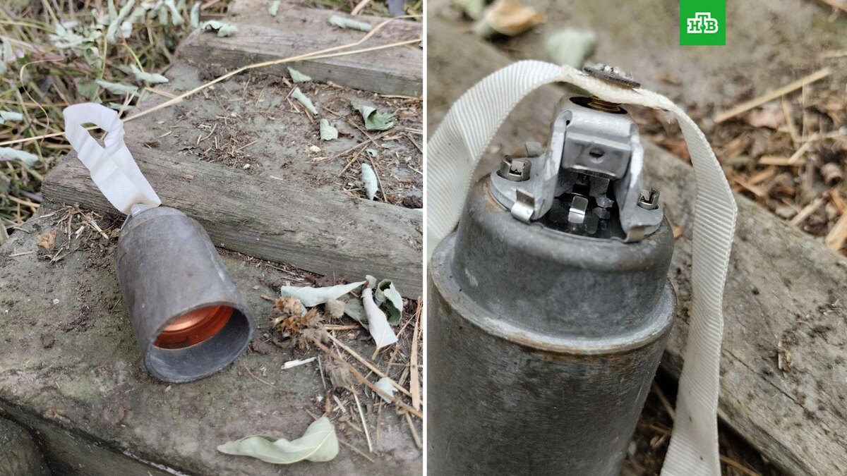    Фото: Prikhodko1970 / t.me