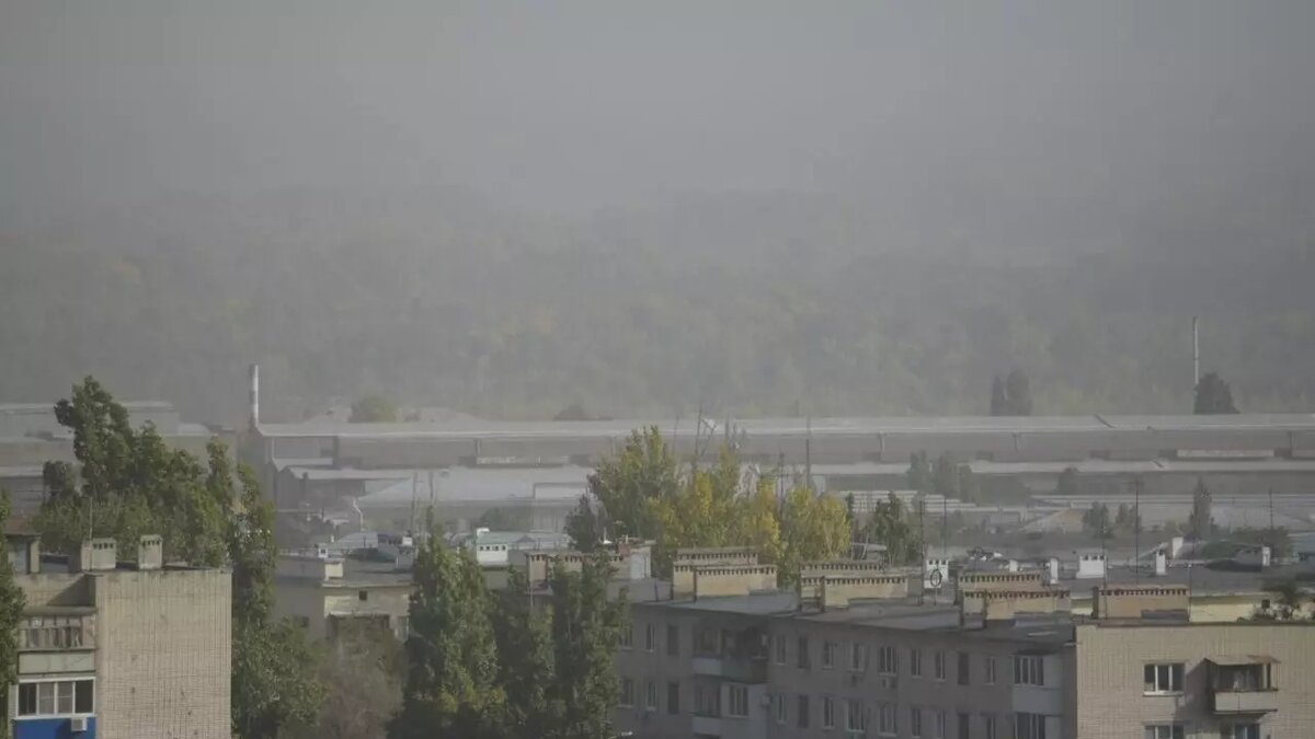     Источник: novostivolgograda.ru