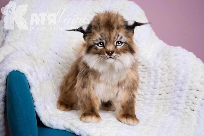    Маленькая рысь – одна из любимых игрушек Екатерины, создаёт уют в доме.Из личного архива героини