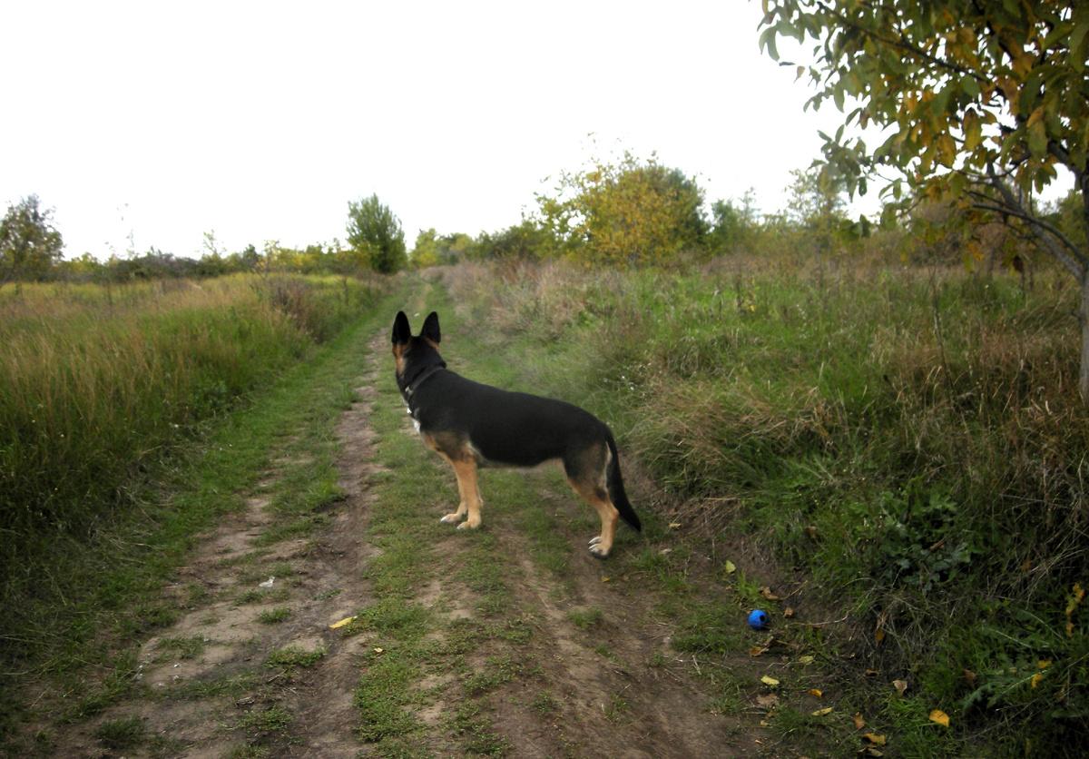 Фото автора