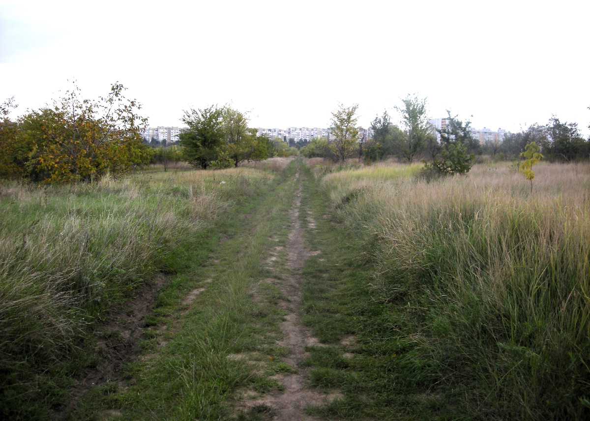 Фото автора