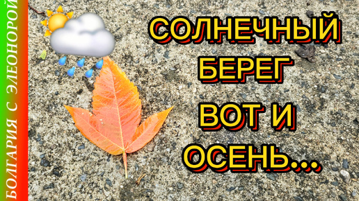 Осень к нам пришла внезапно и с переменами.