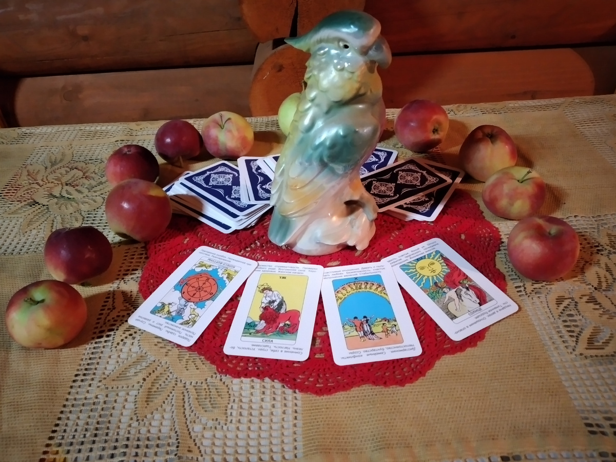 фото автора