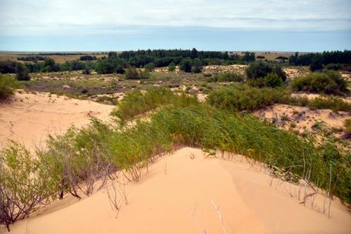 Пейзаж Северного Прикаспия. Фото с сайта rgo.ru