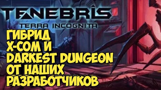 Tenebris: Terra Incognita. Гибрид X-COM и Darkest Dungeon от наших разработчиков #darkestdungeon