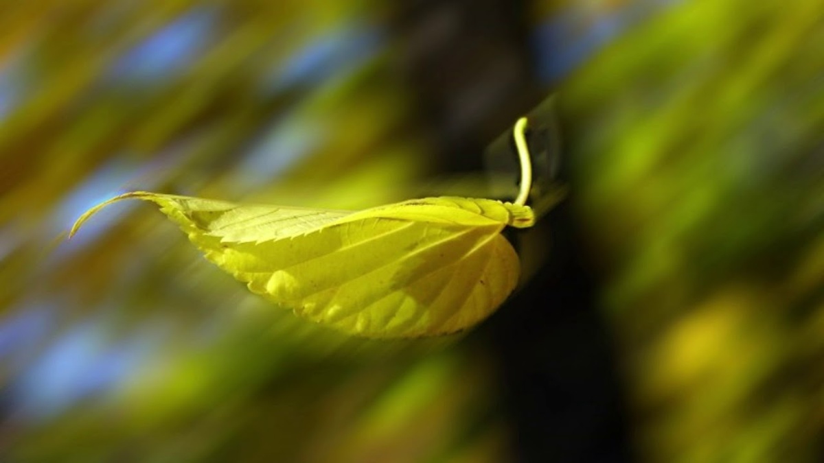 Изображение из открытых источников