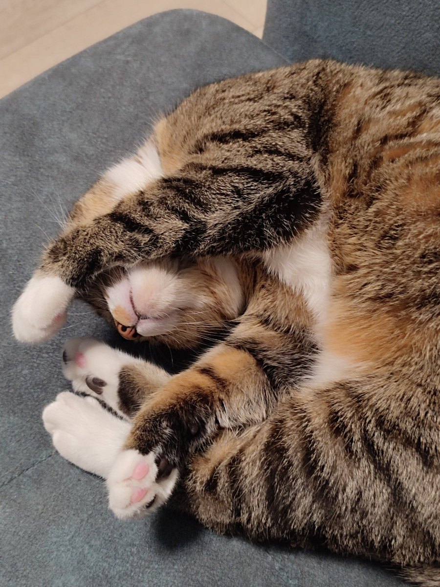 Спать надо так, чтобы ничто не могло тебя потревожить