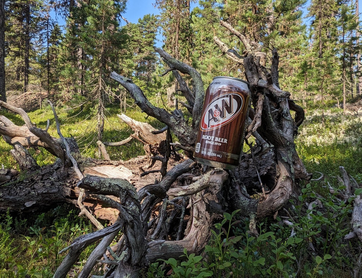 По пиву и в лес?