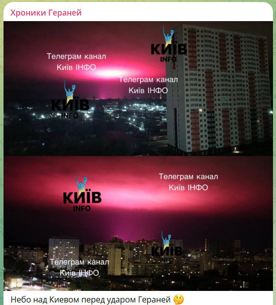    Скриншот с канала "Хроники Гераней"