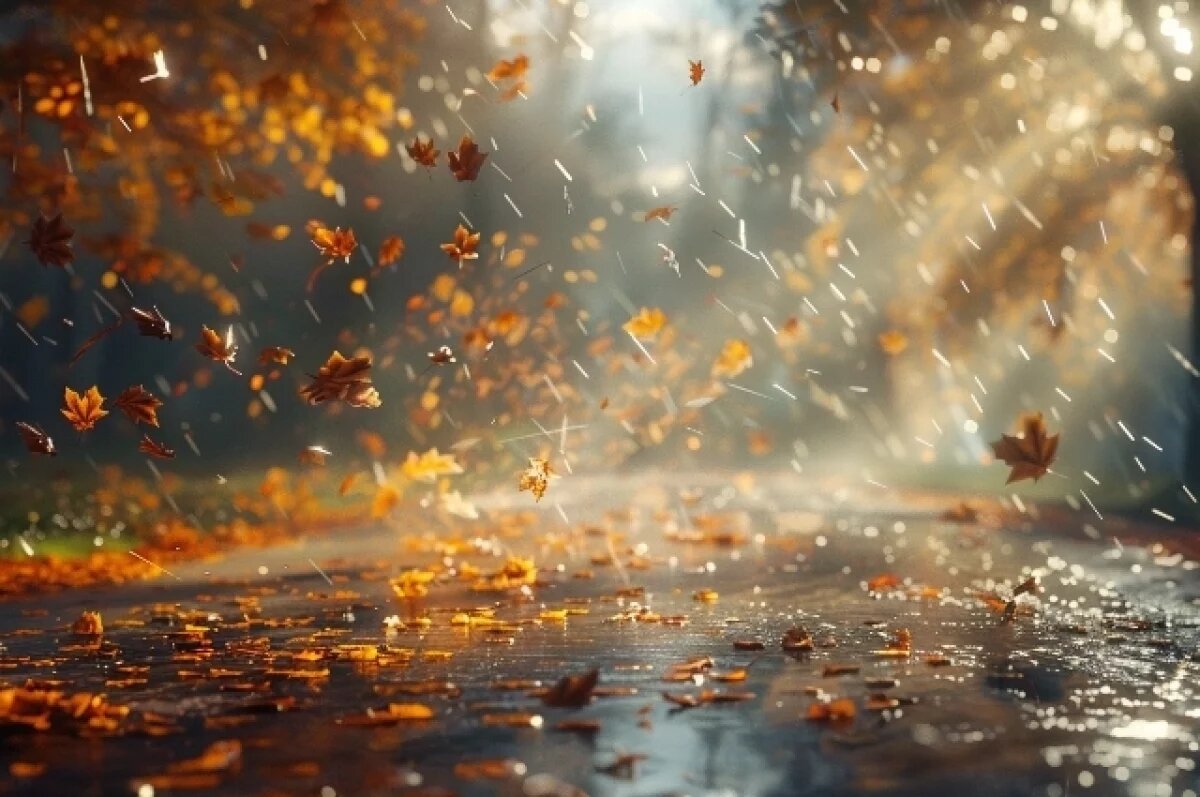    Октябрь пришёл в Хабаровск с листопадом, ветром и дождём