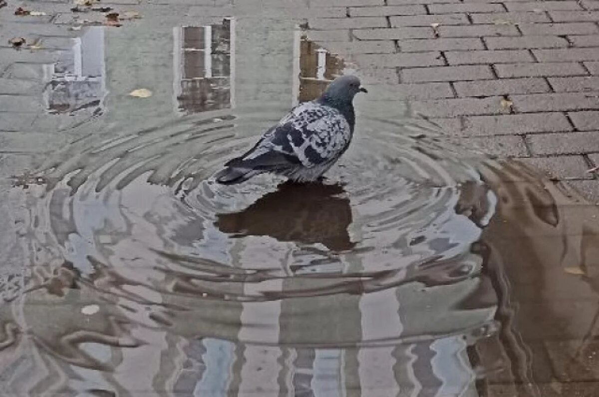    Владивосток встретил октябрь дождливой погодой