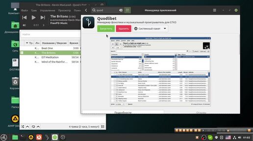 Музыкальный плеер Quodlibet для ОС Green Linux.