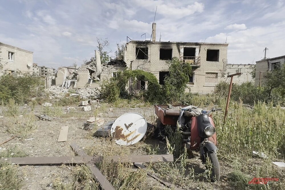    Фото:  АиФ/ Дмитрий Григорьев