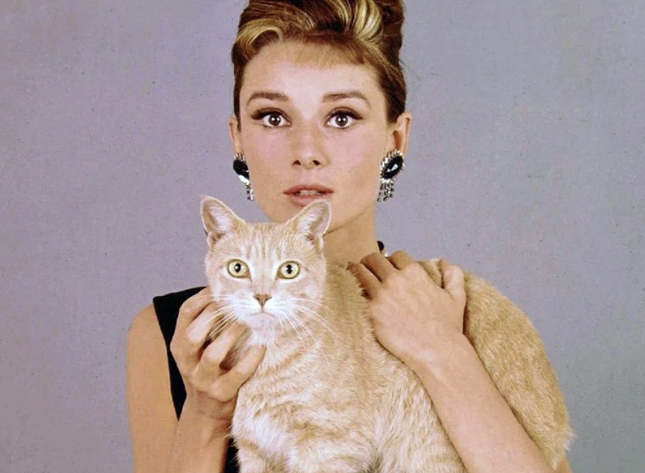 Постер: Кинопоиск 