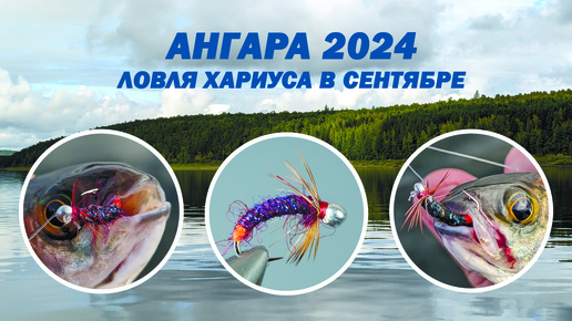 Ангара 2024. Ловля Хариуса в сентябре командой Sibnymph.