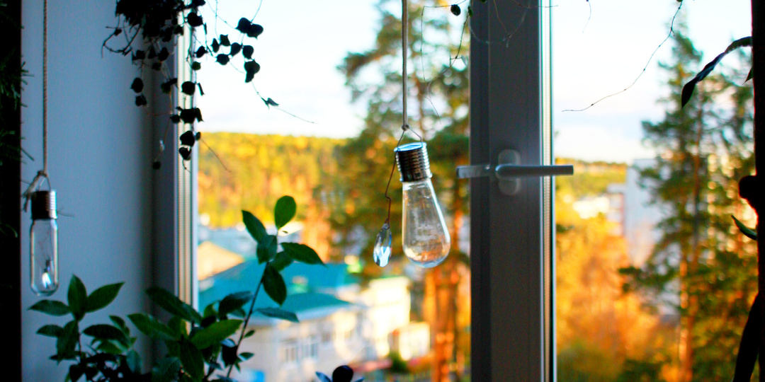 Хвостики болеют несмотря на прививки, цветы не отправляю. Как складывается моя осень