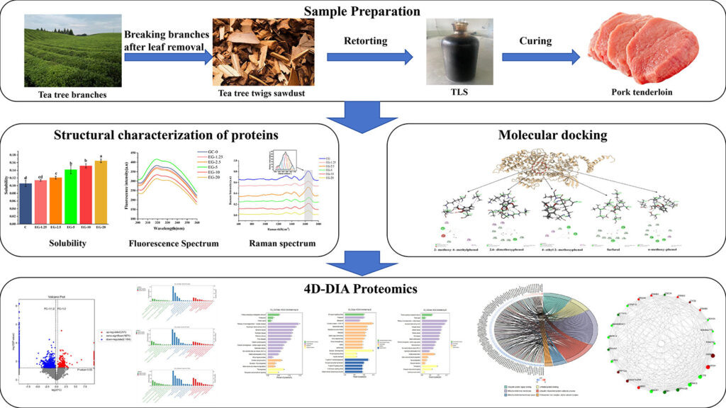 www.sciencedirect.com